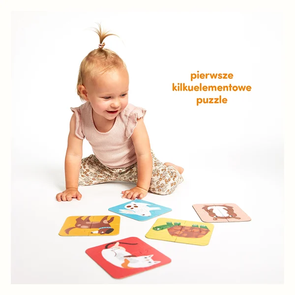 CzuCzu Nasi przyjaciele Puzzle na cztery 2+