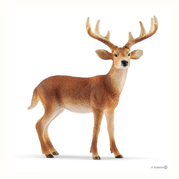 Schleich Wild Life Jeleń wirgiński (mulak białoogonowy), samiec 14818