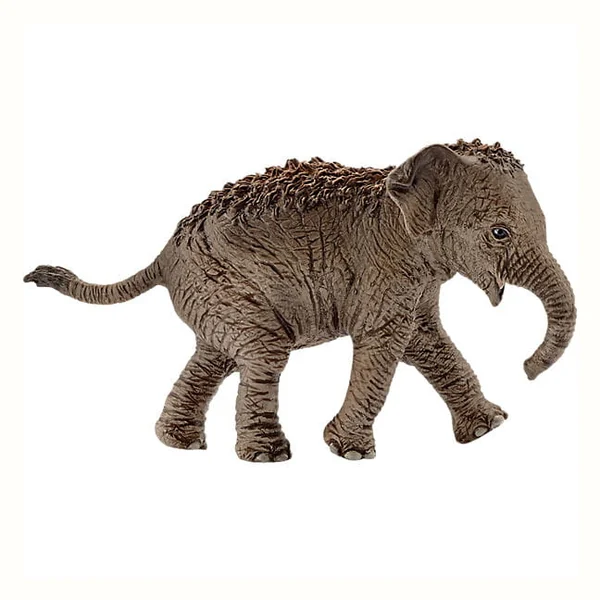 Schleich Wild Life Młody słoń azjatycki 14755