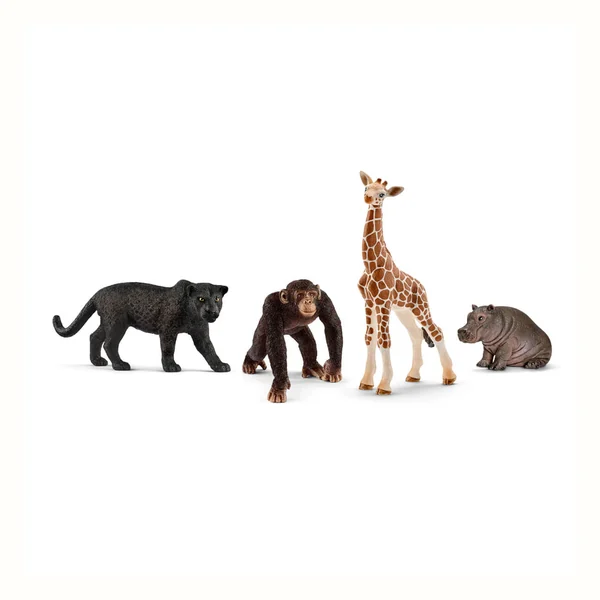 Schleich Wild Life, zestaw 4 figurek 72162